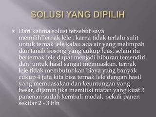  Dari kelima solusi tersebut saya
memilihTernak lele , karna tidak terlalu sulit
untuk ternak lele kalau ada air yang melimpah
dan tanah kosong yang cukup luas, selain itu
berternak lele dapat menjadi hiburan tersendiri
dan untuk hasil sangat memuaskan. ternak
lele tidak membutuhkan biaya yang banyak
cukup 4 juta kita bisa ternak lele dengan hasil
yang memuasakan dan keuntungan yang
besar, dijamin jika memiliki niatan yang kuat 3
panenan sudah kembali modal, sekali panen
sekitar 2 - 3 bln
 