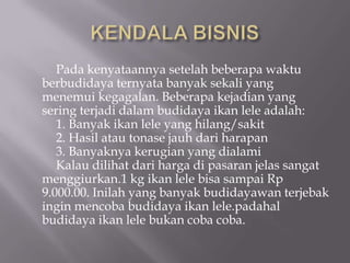 Pada kenyataannya setelah beberapa waktu
berbudidaya ternyata banyak sekali yang
menemui kegagalan. Beberapa kejadian yang
sering terjadi dalam budidaya ikan lele adalah:
1. Banyak ikan lele yang hilang/sakit
2. Hasil atau tonase jauh dari harapan
3. Banyaknya kerugian yang dialami
Kalau dilihat dari harga di pasaran jelas sangat
menggiurkan.1 kg ikan lele bisa sampai Rp
9.000.00. Inilah yang banyak budidayawan terjebak
ingin mencoba budidaya ikan lele.padahal
budidaya ikan lele bukan coba coba.
 