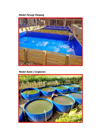 Model Persegi Panjang
Model Bulat / Lingkaran
 