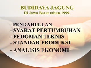 BUDIDAYA JAGUNG Di Jawa Barat tahun 1999. ,[object Object],[object Object]