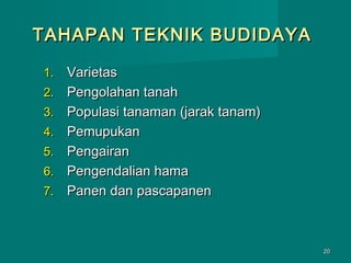 TAHAPAN TEKNIK BUDIDAYA
1.
2.
3.
4.
5.
6.
7.

Varietas
Pengolahan tanah
Populasi tanaman (jarak tanam)
Pemupukan
Pengairan
Pengendalian hama
Panen dan pascapanen

20

 