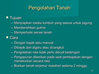 Pengolahan Tanah


Tujuan
–
–
–



Menyiapkan media tumbuh yang sesuai untuk jagung
Membersihkan gulma
Memperbaiki aerasi tanah

Cara
–
–
–
–

Dengan bajak atau manual
Dibajak dan digaru atau dicangkul
Pengolahan rata tidak perlu dibuat bedengan
Pengapuran diberikan pada saat pembajakan dengan
menaburkan secara rata
– Biarkan tanah terjemur matahari selama 2 minggu
25

 