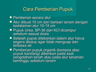 Cara Pemberian Pupuk







Pemberian secara alur
Alur dibuat 10 cm dari barisan tanam dengan
kedalaman alur 10-15 cm
Pupuk Urea, SP-36 dan KCl dicampur
sebelum sesuai dosis
Setelah pupuk ditebarkan dalam alur harus
segera ditutup agar tidak menguap dan
terbawa air
Pemberian pupuk organik (kompos atau
pupuk kandang) diberikan pada saat
pengolahan tanah atau pada alur tanaman
seminggu sebelum tanam
29

 