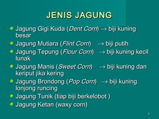 JENIS JAGUNG
Jagung Gigi Kuda (Dent Corn) → biji kuning
besar
Jagung Mutiara (Flint Corn) → biji putih
Jagung Tepung (Flour Corn) → biji kuning kecil
lunak
Jagung Manis (Sweet Corn) → biji kuning dan
keriput jika kering
Jagung Brondong (Pop Corn) → biji kuning
lonjong runcing
Jagung Tunik (tiap biji berkelobot )
Jagung Ketan (waxy corn)
3

 