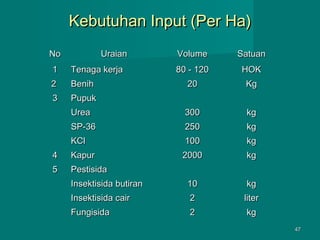 Kebutuhan Input (Per Ha)
No

Uraian

Volume

Satuan

80 - 120

HOK

20

Kg

Urea

300

kg

SP-36

250

kg

KCl

100

kg

4

Kapur

2000

kg

5

Pestisida
Insektisida butiran

10

kg

Insektisida cair

2

liter

Fungisida

2

kg

1

Tenaga kerja

2

Benih

3

Pupuk

47

 