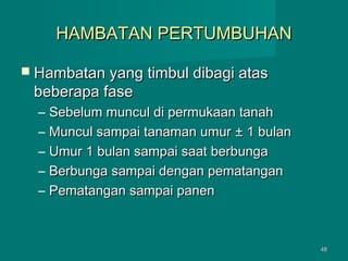 HAMBATAN PERTUMBUHAN
 Hambatan yang timbul dibagi atas

beberapa fase
–
–
–
–
–

Sebelum muncul di permukaan tanah
Muncul sampai tanaman umur ± 1 bulan
Umur 1 bulan sampai saat berbunga
Berbunga sampai dengan pematangan
Pematangan sampai panen

48

 