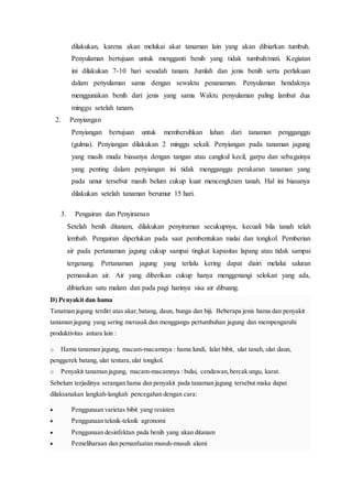 dilakukan, karena akan melukai akar tanaman lain yang akan dibiarkan tumbuh.
Penyulaman bertujuan untuk mengganti benih yang tidak tumbuh/mati. Kegiatan
ini dilakukan 7-10 hari sesudah tanam. Jumlah dan jenis benih serta perlakuan
dalam penyulaman sama dengan sewaktu penanaman. Penyulaman hendaknya
menggunakan benih dari jenis yang sama Waktu penyulaman paling lambat dua
minggu setelah tanam.
2. Penyiangan
Penyiangan bertujuan untuk membersihkan lahan dari tanaman pengganggu
(gulma). Penyiangan dilakukan 2 minggu sekali. Penyiangan pada tanaman jagung
yang masih muda biasanya dengan tangan atau cangkul kecil, garpu dan sebagainya
yang penting dalam penyiangan ini tidak mengganggu perakaran tanaman yang
pada umur tersebut masih belum cukup kuat mencengkram tanah. Hal ini biasanya
dilakukan setelah tanaman berumur 15 hari.
3. Pengairan dan Penyiraman
Setelah benih ditanam, dilakukan penyiraman secukupnya, kecuali bila tanah telah
lembab. Pengairan diperlukan pada saat pembentukan malai dan tongkol. Pemberian
air pada pertanaman jagung cukup sampai tingkat kapasitas lapang atau tidak sampai
tergenang. Pertanaman jagung yang terlalu kering dapat diairi melalui saluran
pemasukan air. Air yang diberikan cukup hanya menggenangi selokan yang ada,
dibiarkan satu malam dan pada pagi harinya sisa air dibuang.
D) Penyakit dan hama
Tanaman jagung terdiri atas akar,batang, daun, bunga dan biji. Beberapa jenis hama dan penyakit
tanaman jagung yang sering merusak dan menggangu pertumbuhan jagung dan mempengaruhi
produktivitas antara lain :
o Hama tanaman jagung, macam-macamnya : hama lundi, lalat bibit, ulat tanah, ulat daun,
penggerek batang, ulat tentara,ulat tongkol.
o Penyakit tanaman jagung, macam-macamnya : bulai, cendawan,bercak ungu, karat.
Sebelum terjadinya serangan hama dan penyakit pada tanaman jagung tersebut maka dapat
dilaksanakan langkah-langkah pencegahan dengan cara:
 Penggunaan varietas bibit yang resisten
 Penggunaan teknik-teknik agronomi
 Penggunaan desinfektan pada benih yang akan ditanam
 Pemeliharaan dan pemanfaatan musuh-musuh alami
 