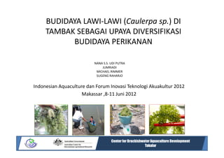 BUDIDAYA LAWI-LAWI (Caulerpa sp.) DI
     TAMBAK SEBAGAI UPAYA DIVERSIFIKASI
           BUDIDAYA PERIKANAN

                          NANA S.S. UDI PUTRA
                              JUMRIADI
                           MICHAEL RIMMER
                           SUGENG RAHARJO


Indonesian Aquaculture dan Forum Inovasi Teknologi Akuakultur 2012
                     Makassar ,8-11 Juni 2012




                                    Center for Brackishwater Aquaculture Development
                                                         Takalar
 