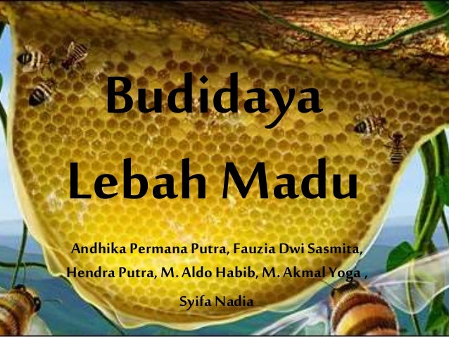apakah budidaya lebah madu dapat meningkatkan kesejahteraan masyarakat indonesia - budidaya lebah madu 1 638