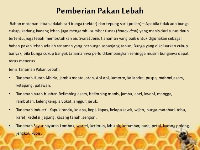 budidaya lebah madu adalah - budidaya lebah madu 18 638