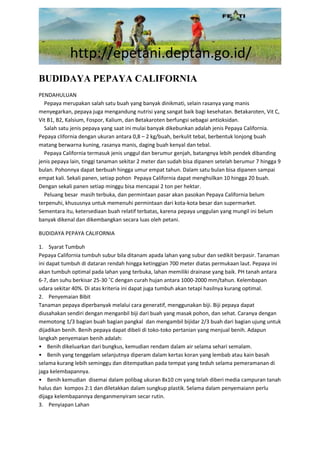 http://epetani.deptan.go.id/
BUDIDAYA PEPAYA CALIFORNIA
PENDAHULUAN
Pepaya merupakan salah satu buah yang banyak dinikmati, selain rasanya yang manis
menyegarkan, pepaya juga mengandung nutrisi yang sangat baik bagi kesehatan. Betakaroten, Vit C,
Vit B1, B2, Kalsium, Fospor, Kalium, dan Betakaroten berfungsi sebagai antioksidan.
Salah satu jenis pepaya yang saat ini mulai banyak dikebunkan adalah jenis Pepaya California.
Pepaya clifornia dengan ukuran antara 0,8 – 2 kg/buah, berkulit tebal, berbentuk lonjong buah
matang berwarna kuning, rasanya manis, daging buah kenyal dan tebal.
Pepaya California termasuk jenis unggul dan berumur genjah, batangnya lebih pendek dibanding
jenis pepaya lain, tinggi tanaman sekitar 2 meter dan sudah bisa dipanen setelah berumur 7 hingga 9
bulan. Pohonnya dapat berbuah hingga umur empat tahun. Dalam satu bulan bisa dipanen sampai
empat kali. Sekali panen, setiap pohon Pepaya California dapat menghsilkan 10 hingga 20 buah.
Dengan sekali panen setiap minggu bisa mencapai 2 ton per hektar.
Peluang besar masih terbuka, dan permintaan pasar akan pasokan Pepaya California belum
terpenuhi, khususnya untuk memenuhi permintaan dari kota-kota besar dan supermarket.
Sementara itu, ketersediaan buah relatif terbatas, karena pepaya unggulan yang mungil ini belum
banyak dikenal dan dikembangkan secara luas oleh petani.
BUDIDAYA PEPAYA CALIFORNIA
1. Syarat Tumbuh
Pepaya California tumbuh subur bila ditanam apada lahan yang subur dan sedikit berpasir. Tanaman
ini dapat tumbuh di dataran rendah hingga ketinggian 700 meter diatas permukaan laut. Pepaya ini
akan tumbuh optimal pada lahan yang terbuka, lahan memiliki drainase yang baik. PH tanah antara
6-7, dan suhu berkisar 25-30 ˚C dengan curah hujan antara 1000-2000 mm/tahun. Kelembapan
udara sekitar 40%. Di atas kriteria ini dapat juga tumbuh akan tetapi hasilnya kurang optimal.
2. Penyemaian Bibit
Tanaman pepaya diperbanyak melalui cara generatif, menggunakan biji. Biji pepaya dapat
diusahakan sendiri dengan menganbil biji dari buah yang masak pohon, dan sehat. Caranya dengan
memotong 1/3 bagian buah bagian pangkal dan mengambil bijidar 2/3 buah dari bagian ujung untuk
dijadikan benih. Benih pepaya dapat dibeli di toko-toko pertanian yang menjual benih. Adapun
langkah penyemaian benih adalah:
• Benih dikeluarkan dari bungkus, kemudian rendam dalam air selama sehari semalam.
• Benih yang tenggelam selanjutnya diperam dalam kertas koran yang lembab atau kain basah
selama kurang lebih seminggu dan ditempatkan pada tempat yang teduh selama pemeramanan di
jaga kelembapannya.
• Benih kemudian disemai dalam polibag ukuran 8x10 cm yang telah diberi media campuran tanah
halus dan kompos 2:1 dan diletakkan dalam sungkup plastik. Selama dalam penyemaiann perlu
dijaga kelembapannya denganmenyiram secar rutin.
3. Penyiapan Lahan
 