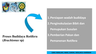 Budidaya Rotifera Brachionus sp.pptx