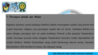 Budidaya Rotifera Brachionus sp.pptx