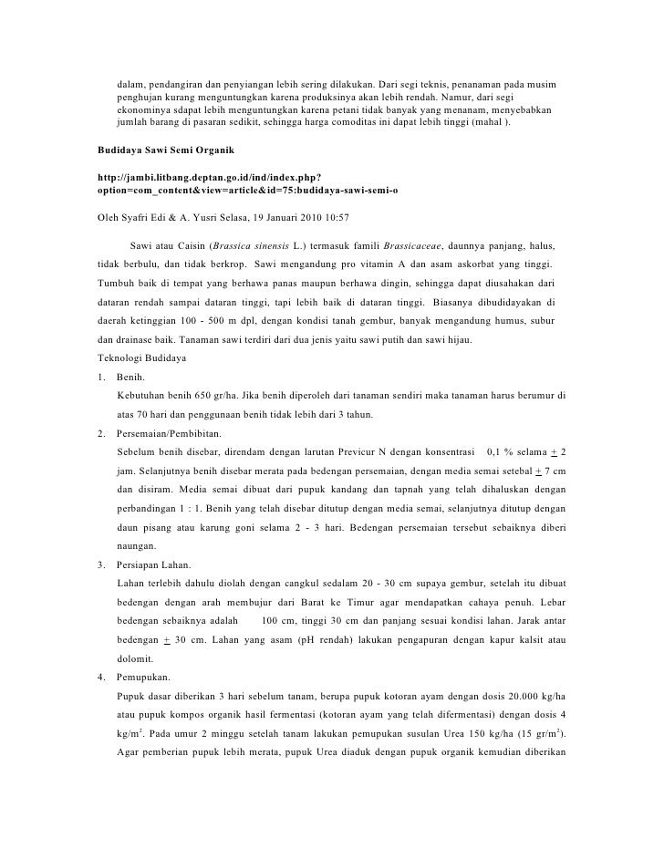 Budidaya Tanaman Kentang Budidaya Tanaman Kentang