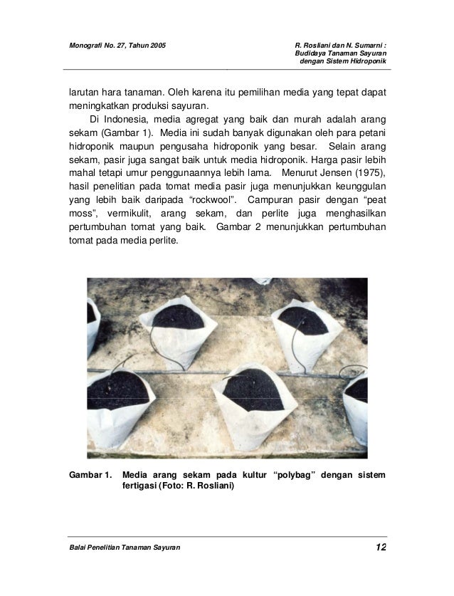 iBudidayai isayurani dengan sistem ihidroponiki