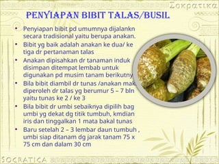 PENYIAPAN BIBIT TALAS/BUSIL
 Penyiapan bibit pd umumnya dijalankn
secara tradisional yaitu berupa anakan.
 Bibit yg baik adalah anakan ke dua/ ke
tiga dr pertanaman talas
 Anakan dipisahkan dr tanaman induk
disimpan ditempat lembab untuk
digunakan pd musim tanam berikutnya’
 Bila bibit diambil dr tunas /anakan maka
diperoleh dr talas yg berumur 5 – 7 bln
yaitu tunas ke 2 / ke 3
 Bila bibit dr umbi sebaiknya dipilih bag
umbi yg dekat dg titik tumbuh, kmdian
iris dan tinggalkan 1 mata bakal tunas
 Baru setelah 2 – 3 lembar daun tumbuh ,
umbi siap ditanam dg jarak tanam 75 x
75 cm dan dalam 30 cm
 