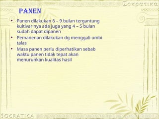 PANen
 Panen dilakukan 6 – 9 bulan tergantung
kultivar nya ada juga yang 4 – 5 bulan
sudah dapat dipanen
 Pemanenan dilakukan dg menggali umbi
talas
 Masa panen perlu diperhatikan sebab
waktu panen tidak tepat akan
menurunkan kualitas hasil
 