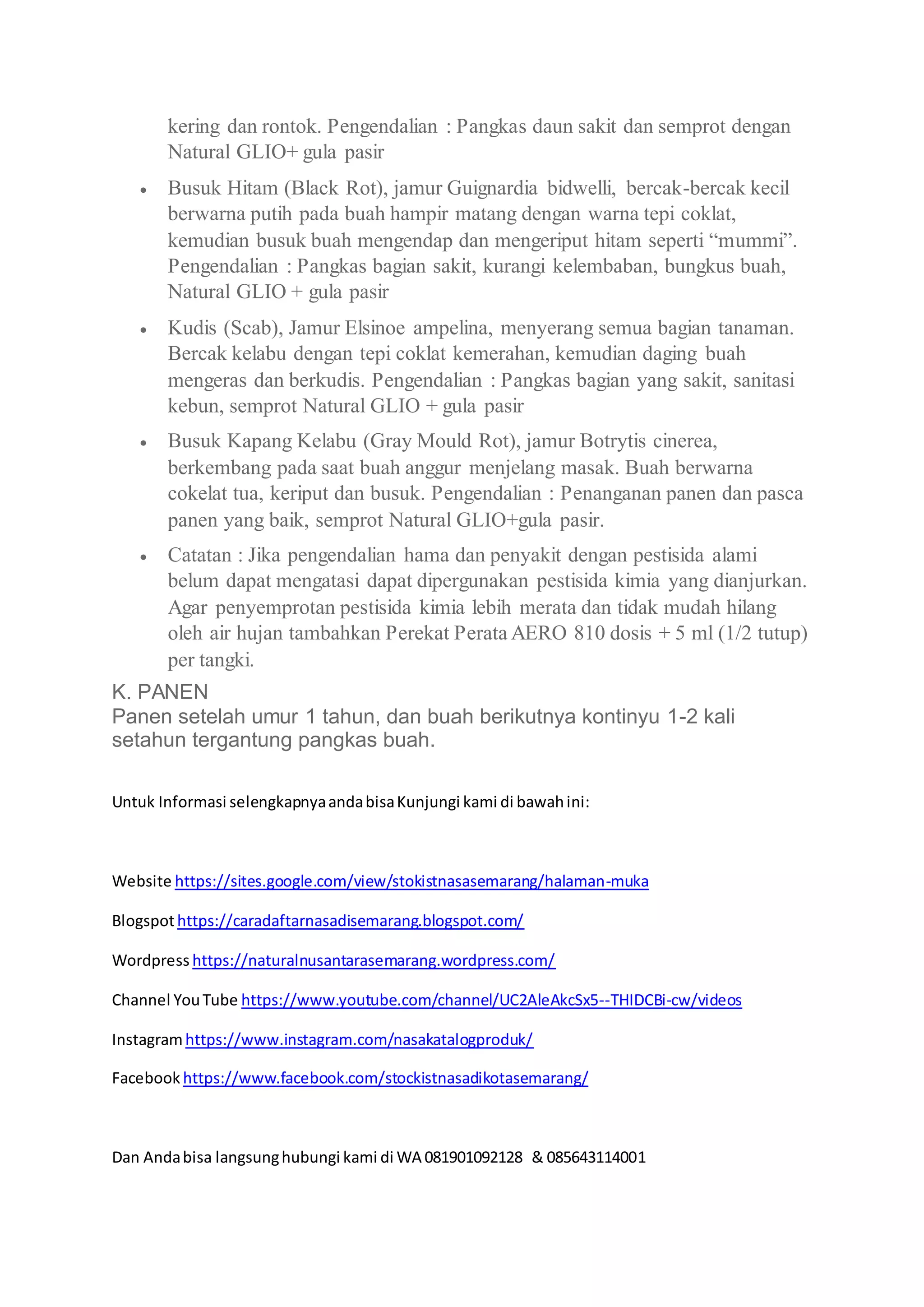 Anggur Rontok Budidaya tanaman anggur | DOCX