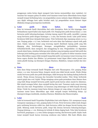 penggunaan mulsa kertas dapat mengusir kutu karena memantulkan sinar matahari; (2)
tanaman liar maupun gulma di sekitar areal tanaman tomat harus dibersihakn krena dapat
menjadi tempat berlindung kutu; (3) pengendalian secara mekanis dapat dilakukan dengan
cara dipijit sehingga kutu aphis tersebut mati; (4) pengendalian secara kimiawi dapat
dilakukan dengan penyemprotan insektisida.
3. Lalat putih (kutu kabut, kutu kepul)
Kutu ini termasuk famili Aleyrodidae dari ordo Hemiptera. Kutu ini bila terganggu akan
berhamburan seperti kabut atau kepul putih. Ciri: Panjang kutu putih dewasa hanya ± 1 mm
berwarna putih kekuning-kuningan, tertutup tepung seperti lilin putih, memiliki 2 pasang
sayap berwarna putih dengan bentangan ± 2 mm, dan bermata merah. Lalat putih betina
berukuran lebih besar daripada lalat jantan. Telur berbentuk elips sepanjang antara 0,2-0,3
mm. Panjang pulpa ± 0,7 mm, berbentuk oval serta datar dan badannya seperti sisik pada
daun. Gejala: tanaman tomat yang terserang seperti diselimuti tepung putih yang bila
dipegang akan berterbangan. Serangan mengakibatkan pertumbuhan tanaman
terhambat/kerdil, daun mengecil, dan menggulung ke atas. Pengendalian: (1) digunakan
musuh alami hama, misalnya beberapa jenis tabuhan yang merupakan parasit lalat putih dan
beberapa jenis lembing guna memakan telur lalat putih; (2) gulma di sekitar tanaman tomat
harus dibersihkan supaya tidak menjadi inang lalat putih; (3) tanaman tomat terserang virus
harus segera dicabut dan dibakar; (4) pertanaman tomat dapat diberi mulsa jerami atau
mulsa plastik kuning; (5) disemprot dengan Diazinon, Malathion, Azinpos-methyl dan lain-
lain.
4. Kutu daun thrips
Kutu daun thrips termasuk famili Thripidae dari ordo Thysanoptera. Ciri: panjang thrips
antara 1-1,2 mm, berwarna hitam, bergaris merah atau tidak bercak merah. Nimfa (thrips
muda) berwarna putih atau putih kekuningan, tidak bersayap dan kadang-kadang berbercak
merah. Thrips dewasa bersayap dan berambut berumbai-rumbai. Telur thrips berbentuk
seperti ginjal atau oval. Gejala: Thrips mengisap cairan pada permukaan daun dimana daun
yang telah diisap menjadi berwarna putih seperti perak karena udara masuk ke dalamnya.
Bila terjadi serangan hebat, daun menjadi kering dan mati. Tanaman muda yang terserang
akan layu dan mati. Pengendalian: (1) tanaman yang kekurangan air lebih banyak diserang
thrips. Untuk itu, tanaman tomat harus disiram dengan air yang cukup; (2) gulma di areal
tanaman tomat harus dibersihkan agar tidak menjadi tempat berlindung thrips; (3)
disemprot dengan insektisida, misalnya Diazinon, Malathion dan Monocrotophos.
5. Lalat buah
Lalat ini termasuk famili Trypetidae (Tephritidae) dari ordo Diptera. Ciri: mempunyai sayap
transparan sepanjang 5-7 mm, panjang badan 6-8 mm. Perut berwarna coklat muda dengan
garis melintang berwarna coklat tua, dada berwarna coklat tua dengan bercak kuning atau
putih. Belatung muda berwarna putih, tetapi bila dewasa berwarna kekuning-kuningan.
Panjang belatung ± 1 cm. Belatung ini terletak di dalam daging buah. Telur lalat berukuran
kecil-kecil, panjangnya ± 1,2 mm, kedua ujungnya runcing, dan berwarna putih. Gejala: buah
tomat menjadi busuk karena terserang cendawan atau bakteri. Bila buah dibuka akan
 