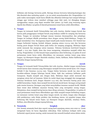 kelihatan ada berenga berwarna putih. Berenga dewasa berwarna kekuning-kuningan dan
bila disentuh akan melenting sejauh ± 30 cm untuk menyelamatkan diri. Pengendalian: (1)
pada waktu mencangkul, tanah harus dibalik dan dibiarkan beberapa hari sampai beberapa
minggu agar terkena sinar matahari sehingga pupa lalat mati; (2) ditangkap dengan
menggunakan umpan yang dapat memikat lalat jantan; (3) buah yang terserang segera
dipetik dan dibakar; (4) gulma di daerah pertanaman tomat harus selalu dibersihkan.
6. Tungau bercak dua
Tungau ini termasuk famili Tetranychidae dari ordo Acarina, disebut tungau bercak dua
karena pada punggungnya terdapat bercak yang letaknya sedikit ke samping dan berwarna
hitam. Tungau ini memakan berbagai macam tanaman (kosmopolitan dan polyphag).
Tungau ini terdapat dibalik permukaan daun dengan sarang labah-labahnya. Tungau ini
dapat menularkan virus. Serangannya dapat terjadi pada musim kemarau. Ciri: bentuk luar
tungau berbentuk lonjong, berkaki delapan, panjang antara 0,3-0,4 mm dan berwarna
kuning pucat dengan bercak hitam pada kedua sisi samping punggung. Mulutnya dapat
untuk menusuk dan mengisap cairan tanaman. Telurnya berukuran kecil-kecil bergaris
tengah ± 0,15 mm. Gejala: daun dan tunas menguning, selanjutnya menjadi coklat dan
kering. Pengendalian: (1) bila banyak hujan populasinya akan berkurang; (2) gulma di areal
pertanaman tomat harus selalu dibersihkan; (3) menanam varietas tomat yang tahan
tungau; (4) disemprot dengan Akarisida misalnya, Omite, Kelthane, Bubur Kalifornia atau
dihembus dengan tepung belerang.
7. Tungau merah
Tungau ini termasuk famili Tetranychidae dari ordo Acarina., disebut tungau merah/hama
merah karena daun tanaman yang diserangnya menjadi berwarna merah karat. Ciri: tungau
berkaki 8 dan besarnya 0,3-0,5 mm. Tungau betina berwarna merah tua atau merah
kecoklat-coklatan dengan beberapa bercak hitam. Kaki dan mulutnya kelihatan putih
transparan. Kepala menjadi satu dengan dada. Mulutnya dapat untuk menusuk dan
mengisap cairan dari sel tanaman. Selain itu mulut dapat juga menggigit dan menggergaji.
Telurnya berukuran kecil, dengan diameter 0,15 mm, dan berwarna kuning pucat atau
sedikit kemerahan. Gejala: daun menjadi bercak-bercak merah karat. Serangan sering terjadi
pada musim kemarau. Serangan yang hebat menyebabkan tanaman menjadi kerdil. Dibalik
daun tomat akan kelihatan anyaman benang halus yang merupakan sarang tungau.
Selanjutnya, daun menjadi kering karena daun diisap cairannya. Pengendalian: (1) gulma di
areal pertanaman tomat harus dibersihakan agar tidak menjadi tempat berlindung tungau;
(2) menanam varietas tomat yang tahan tungau merah; (3) alami, tungau akan dimangsa
oleh predatornya, yaitu thrips predator dan kumbang macan; (4) populasi tungau akan
berkurang bila banyak turun hujan; (5) disemprot dengan akarisida, misalnya Omite,
Kelthan, atau dihembus dengan tepung belerang.
8. Nematoda bengkak akar
Ciri: bentuk nematoda bisul akar seperti cacing kecil sepanjang antara 200-1000 m. Untuk
mengamati hama ini harus digunakan mikroskop. Pada mulutnya terdapat stylet yang
berbentuk seperti jarum runcing, untuk menusuk dan menarik kembali cairan dalam mulut.
 