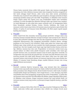 Ukuran badan nematoda betina sedikit lebih gemuk. Gejala: akar tanaman membengkak
memanjang atau bulat, akibatnya tanaman (akar) akan mengalami kesulitan mengambil air
dari tanah sehingga terjadi klorosis, yakni warna daun tidak normal, pertumbuhan
terhambat, layu, buah kecil serta sedikit dan cepat menjadi tua. Serangan nematoda ini dapat
mengurangi produksi sampai 50% atau lebih. Pengendalian: (1) dilakukan rotasi tanaman
dengan Tagetes patula atau Tagetes ercta yang menghasilkan tiophen guna mematikan
nematoda; (2) tanah dicangkul dan dibiarkan beberapa waktu agar terkena sinar matahari;
(3) tanah digenangi air yang cukup lama supaya nematoda mati; (4) menggunakan bahan
kimia Nematisida, misalnya Furadan, Curater, Petrofur, Indofuran, dan Temik; (5)
menanam varietas tomat yang resisten; (6) tanaman yang terserang harus segera dicabut dan
dibakar; (7) gulma di areal tamanan tomat dibersihkan; (8) diberi pupuk organik (pupuk
kandang atau kompos).
9. Penyakit layu fusarium
Infeksi terjadi lewat akar, kemudian menyerang jaringan pembuluh. Jaringan xylem yang
terserang warnanya menjadi coklat dan serangan ini dengan cepat menuju ke atas. Aliran air
ke daun akan terhambat sehingga daun akan layu dan menguning. Cendawa ini membentuk
polipeptida (likomarasmin) yang menggangu permeabilitas membran plasma, sehingga
perjalanan air dari bawah ke atas terhambat. Gejala: pada malam hari sampai pagi masih
kelihatan segar, tetapi setelah ada sinar matahari dan terjadi penguapan, tanaman tersebut
menjadi layu. Sore hari mungkin masih dapat segar lagi tetapi keesokan harinya mulai layu
lagi. Akhirnya, tanaman layu akan mati. Pengendalian: (1) menanam varietas tomat yang
resisten (tahan); (2) diberi mulsa plastik transparan untuk menaikkan suhu tanah agar
penyakit fusarium mati; (3) menanam tanaman tomat di tanah yang bebas nematoda; (4)
menggunakan alat yang bersih dari penyakit layu; (5) tanah yang telah ditanami tomat yang
terserang penyakit layu tidak boleh ditanami tomat dalam waktu lama dan tidak boleh
menanam tanman yang termasuk solanase; (6) tanaman yang layu harus segera dicabut dan
dibakar; (7) tanaman tomat disambung dengan cepokak (Solanum torvum), atau terung
engkol (Solanum macrocarpon).
10. Bercak daun septoria
Penyebab: cendawan Septoria Lycopersici Speg. yang merusak daun dan menyerang
tanaman tomat yang masih muda ataupun tua. Gejala: terlihat bercak bulat kecil berair pada
kedua permukaan daun dibagian bawah. Bercak tersebut berwarna coklat muda, kemudian
menjadi kelabu dengan tepi kehitaman. Garis tengah bercak ± 2 mm. Serangan yang hebat
menyebabkan daun tomat menggulung, mengering dan rontok. Pengendalian : (1) gulma dan
sisa tanaman tomat yang telah mati dibersihkan dan dibakar, jangan dipendam dalam tanah;
(2) dilakukan rotasi tanaman, dengan menanam tanaman lain yang berbeda famili; (3)
menanam tanaman tomat yang resisten; (4) disemprot dengan fungisida misalnya, zineb dan
maneb.
11. Penyakit kapang daun
Penyebab: cendawan Fulvia fulva (Cke) Cif. atau yang menyebut Cladosporum fulvus Cke.
Gejala: mula-mula terlihat pada permukaan daun sebelah atas terdapat bercak pucat
 