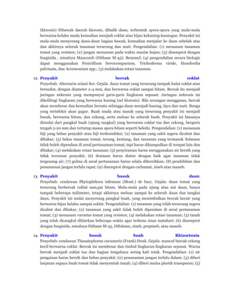 (klorosis) Dibawah daerah klorosis, dibalik daun, terbentuk spora-spora yang mula-mula
berwarna kelabu muda kemudian menjadi coklat atau hijau kekuning-kuningan. Penyakit ini
mula-mula menyerang daun-daun bagian bawah, kemudian menjalar ke daun sebelah atas
dan akhirnya seluruh tanaman terserang dan mati. Pengendalian: (1) menanam tanaman
tomat yang resisten; (2) jangan menanam pada waktu musim hujan; (3) disemprot dengan
fungisida , misalnya Mancozeb (Dithane M-45), Benemyl; (4) pengendalian secara biologis
dapat menggunakan Penicillium brevicompactum, Trichoderma viride, Hansfordia
pulvinata, dan Acremonium spp.; (5) melakukan rotasi tanaman.
12. Penyakit bercak coklat
Penyebab: Alternaria solani Sor. Gejala: daun tomat yang terserang tampak bulat coklat atau
bersudut, dengan diameter 2-4 mm, dan berwarna coklat sampai hitam. Bercak itu menjadi
jaringan nekrosis yang mempunyai garis-garis lingkaran sepusat. Jaringan nekrosis ini
dikelilingi lingkaran yang berwarna kuning (sel klorosis). Bila serangan mengganas, bercak
akan membesar dan kemudian bersatu sehingga daun menjadi kuning, layu dan mati. Bunga
yang terinfeksi akan gugur. Buah muda atau masak yang terserang penyakit ini menjadi
busuk, berwarna hitam, dan cekung, serta meluas ke seluruh buah. Penyakit ini biasanya
dimulai dari pangkal buah (ujung tangkai) yang berwarna coklat tua dan cekung, bergaris
tengah 5-20 mm dan tertutup massa spora hitam seperti beledu. Pengendalian: (1) menanam
biji yang bebas penyakit atau biji terdesinfeksi; (2) tanaman yang sakit segera dicabut dan
dibakar; (3) bekas tanaman tomat, terung, kentang, dan tanaman yang termasuk Solanase
tidak boleh dipendam di areal pertanaman tomat, tapi harus dikumpulkan di tempat lain dan
dibakar; (4) melakukan rotasi tanaman; (5) penyiraman harus menggunakan air bersih yang
tidak tercemar penyakit; (6) drainase harus diatur dengan baik agar tanaman tidak
tergenang air; (7) gulma di areal pertanaman harus selalu dibersihkan; (8) pembibitan dan
penanaman jangan terlalu rapat; (9) disemprot dengan carbamat, zineb atau maneb.
13. Penyakit busuk daun
Penyebab: cendawan Phytophthora infestans (Mont.) de bary. Gejala: daun tomat yang
terserang berbercak coklat sam,pai hitam. Mula-mula pada ujung atau sisi daun, hanya
tampak beberapa milimeter, tetapi akhirnya meluas sampai ke seluruh daun dan tangkai
daun. Penyakit ini mulai menyerang pangkal buah, yang menimbulkan bercak berair yang
berwarna hijau kelabu sampai coklat. Pengendalian: (1) tanaman yang telah terserang segera
dicabut dan dibakar; (2) tanaman yang sakit tidak boleh dipendam di areal pertanaman
tomat; (3) menanam varoetas tomat yang resisten; (4) melakukan rotasi tanaman; (5) tanah
yang telah dicangkul dibiarkan beberapa waktu agar terkena sinar matahari; (6) disemprot
dengan fungisida, misalnya Dithane M-45, Difolatan, zineb, propineb, atau maneb.
14. Penyakit busuk buah Rhizoctonia
Penyebab: cendawan Thanatephorus cucumeris (Frank) Donk. Gejala: muncul bercak cekung
kecil berwarna coklat. Bercak ini membesar dan timbul lingkaran-lingkaran sepusat. Warna
bercak menjadi coklat tua dan bagian tengahnya sering kali retak. Pengendalian: (1) air
pengairan harus bersih dan bebas penyakit; (2) penanaman jangan terlalu dalam; (3) diberi
lanjaran supaya buah tomat tidak menyentuh tanah; (4) diberi mulsa plastik transparan; (5)
 