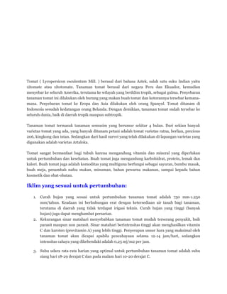 Tomat ( Lycopersicon esculentum Mill. ) berasal dari bahasa Aztek, salah satu suku Indian yaitu
xitomate atau xitotomate. Tanaman tomat berasal dari negara Peru dan Ekuador, kemudian
menyebar ke seluruh Amerika, terutama ke wilayah yang beriklim tropik, sebagai gulma. Penyebaran
tanaman tomat ini dilakukan oleh burung yang makan buah tomat dan kotorannya tersebar kemana-
mana. Penyebaran tomat ke Eropa dan Asia dilakukan oleh orang Spanyol. Tomat ditanam di
Indonesia sesudah kedatangan orang Belanda. Dengan demikian, tanaman tomat sudah tersebar ke
seluruh dunia, baik di daerah tropik maupun subtropik.
Tanaman tomat termasuk tanaman semusim yang berumur sekitar 4 bulan. Dari sekian banyak
varietas tomat yang ada, yang banyak ditanam petani adalah tomat varietas ratna, berlian, precious
206, kingkong dan intan. Sedangkan dari hasil survei yang telah dilakukan di lapangan varietas yang
digunakan adalah varietas Artaloka.
Tomat sangat bermanfaat bagi tubuh karena mengandung vitamin dan mineral yang diperlukan
untuk pertumbuhan dan kesehatan. Buah tomat juga mengandung karbohidrat, protein, lemak dan
kalori. Buah tomat juga adalah komoditas yang multiguna berfungsi sebagai sayuran, bumbu masak,
buah meja, penambah nafsu makan, minuman, bahan pewarna makanan, sampai kepada bahan
kosmetik dan obat-obatan.
Iklim yang sesuai untuk pertumbuhan:
1. Curah hujan yang sesuai untuk pertumbuhan tanaman tomat adalah 750 mm-1.250
mm/tahun. Keadaan ini berhubungan erat dengan ketersediaan air tanah bagi tanaman,
terutama di daerah yang tidak terdapat irigasi teknis. Curah hujan yang tinggi (banyak
hujan) juga dapat menghambat persarian.
2. Kekurangan sinar matahari menyebabkan tanaman tomat mudah terserang penyakit, baik
parasit maupun non parasit. Sinar matahari berintensitas tinggi akan menghasilkan vitamin
C dan karoten (provitamin A) yang lebih tinggi. Penyerapan unsur hara yang maksimal oleh
tanaman tomat akan dicapai apabila pencahayaan selama 12-14 jam/hari, sedangkan
intensitas cahaya yang dikehendaki adalah 0,25 mj/m2 per jam.
3. Suhu udara rata-rata harian yang optimal untuk pertumbuhan tanaman tomat adalah suhu
siang hari 18-29 derajat C dan pada malam hari 10-20 derajat C.
 