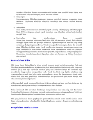 sebaiknya dilakukan dengan menggunakan alat/gembor yang memiliki lubang halus, agar
tidak merusak bibit tanaman yang sudah atau baru tumbuh.
2. Penyiangan
Penyiangan dapat dilakukan dengan cara langsung mencabuti tanaman pengganggu tanpa
peralatan. Penyiangan sebaiknya dilakukan seperlunya saja dengan melihat keadaan
tanaman.
3. Pemupukan
Pada media persemaian selain diberikan pupuk kandang, sebaiknya juga diberikan pupuk
kimia NPK secukupnya sebagai pupuk tambahan yang diberikan setelah benih tumbuh
menjadi bibit.
4. Pencegahan dan pemberantasan hama penyakit
Hama yang umumnya menyerang benih atau bibit di pesemaian berasal dari golongan
serangga, seperti semut dan golongan nematoda, seperti cacing tanah. Penyakit yang sering
menyerang dari golongan cendawan. Untuk mencegah berkembangnya hama dan penyakit
dapat dilakukan sterilisasi tanah. Untuk memberantas hama dan penyakit yang menyerang
dapat disemprotkan obat-obatan. Insektisida untuk memberantas hama dari golongan
serangga dan fungisida untuk memberantas penyakit yang disebabkan oleh golongan jamur.
Nama-nama formulasi yang dapat digunakan antara lain Furadan 3 g, Dithane Hostathion
dan Antracol.
Pemindahan Bibit
Bibit tomat dapat dipindahkan ke kebun setelah berumur 30-45 hari di persemaian. Pada saat
dilakukan penanaman ke kebun, sebaiknya dilakukan pemilihan lagi terhadap bibit-bibit yang telah
berumur 30-45 hari agar diperoleh tanaman yang baik pertumbuhannya dan memiliki daya
produktivitas tinggi dalam menghasilkan buah. Untuk itu, bibit yang dipilih sebaiknya yang
berpenampilan menarik dan baik., yaitu penampakannya segar dan daun-daunnya tidak rusak.
Pilihlah bibit yang kuat, yaitu tegak pertumbuhannya dan pilihlah bibit yang sehat, artinya bibit
tidak terserang hama dan penyakit.
Waktu yang baik untuk menanam bibit tomat di kebun adalah pagi atau sore hari. Pada saat itu
keadaan cuaca belum panas sehingga mencegah kelayuan pada tanaman.
Ketika memindah bibit di kebun, hendaknya memperhatikan cara-cara yang baik dan benar.
Pemindahan bibit yang ceroboh dapat merusak perakaran tanaman, sehingga pada saat bibit telah
ditanam maka akan mengalami hambatan dalam pertumbuhan bahkan mati.
Bibit yang disemaikan dalam polybag cara pemindahannya adalah basahi terlebih dahulu tanah
dalam polybag, kemudian keluarkan bibit dari polybag beserta tanahnya dengan menyobek kantong
polybag.
Pengolahan Media Tanam
 