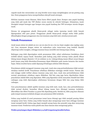 organik tanah dan menurunkan zat yang bersifat racun tanpa menghilangkan zat-zat penting yang
lain. Dosis pengapuran harus memperhatikan nilai pH tanah setempat.
Sebelum tanaman tomat ditanam, lahan harus diberi pupuk dasar. Kompos atau pupuk kandang
yang telah jadi tanah dan TSP ditabur secara merata ke seluruh bedengan. Selanjutnya, tanah
dicangkul sampai homogen agar kompos atau pupuk kandang dan TSP tercampur merata dengan
tanah.
Dewasa ini penggunaan plastik hitam-perak sebagai mulsa (penutup tanah) telah banyak
dipergunakan oleh para petani. Penggunaan plastik hitam-perak sebagai mulsa lebih praktis
dibandingkan dengan penggunaan sisa-sisa tanaman yang telah mati, misalnya jerami padi.
Teknik Penanaman
Jarak tanam sistem ini adalah 50 cm x 50 cm atau 60 cm x 60 cm, bujur sangkar atau segitiga sama
sisi. Cara menanam dengan sistem ini maksudnya yaitu tunas-tunas yang tumbuh diambil
(dipotong) sedini mungkin, sehingga tanaman hanya memiliki satu batang tanpa cabang.
Bedengan yang telah dipersiapkan untuk penanaman bibit, sehari sebelumnya hendaknya diairi
terlebih dahulu supaya basah. Kemudian pada bedeng yang telah tertutup mulsa plastik dibuat
lubang tanam dengan diameter 7-8 cm sedalam 15 cm. Lubang-lubang tanam dibuat sesuai dengan
jarak tanam yang telah ditentukan.Penanaman dapat dilakukan pada musim kemarau dan musim
hujan. Mulsa tersebut harus sudah dipasang di bedengan sebelum bibit ditanam.
Penyulaman adalah mengganti tanaman yang mati, rusak atau yang pertumbuhannya tidak normal,
misalnya tumbuh kerdil. Penyulaman sebaiknya dilakukan seminggu setelah tanam. Namun jika
satu minggu sudah terlihat adanya tanaman yang mati, layu, rusak atau pertumbuhannya tidak
normal, penyulaman sebaiknya segera dilakukan. Hal lain yang juga harus diperhatikan dalam
penyulaman adalah bibit yang digunakan. Bibit yang digunakan untuk menyulam diambil dari bibit
cadangan yang telah dipersiapkan sebelumnya bersamaan dengan bibit lain yang bukan bibit
cadangan.
Cara penyulamannya adalah apabila tanaman yang telah mati, rusak, layu, atau pertumbuhannya
tidak normal dicabut, kemudian dibuat lubang tanam baru ditempat tanaman terdahulu,
dibersihkan dan diberi Furadan 0,5 gram bila dipandang perlu. Setelah itu, bibit yang baru ditanam
pada tempat tanaman terdahulu dengan cara penanaman bibit terdahulu.
Gulma yang tumbuh di areal penanaman tomat harus disiangi agar tidak menjadi pesaing dalam
mengisap unsur hara. Gulma yang terlalu banyak akan mengurangi unsur hara sehingga tanaman
tomat menjadi kerdil. Gulma juga dapat menjadi sarang hama dan penyakit yang akan menyerang
tanaman tomat. Pemberian mulsa plastik atau daun-daunan akan mengurangi gulma.
Waktu penyiangan dapat dilakukan 3-4 kali tergantung kondisi kebun.
 