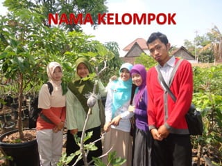 • Retno Sulistyowati   A420080063
• Dhinar Dewi Istini   A420080066
• Dewi Catur O.        A420080067
• Deny Yuniastanti  ...