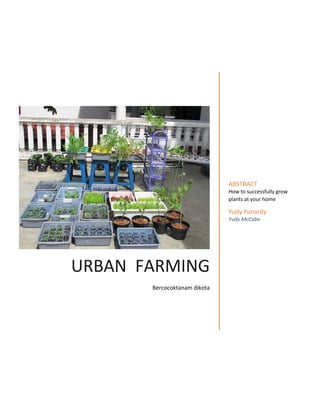 URBAN FARMING
Bercocoktanam dikota
ABSTRACT
How to successfully grow
plants at your home
Yudy Yunardy
Yudy McCabe
 