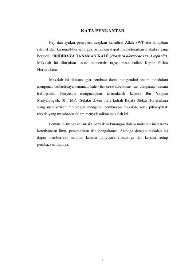 Contoh Kata Pengantar Makalah Tentang Hidroponik cara Contoh Kata Pengantar Makalah Tentang Hidroponik cara