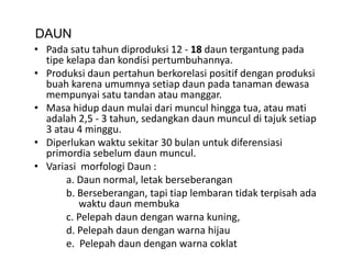 DAUN
• Pada satu tahun diproduksi 12 ‐ 18 daun tergantung pada
  Pada satu tahun diproduksi 12 ‐ 18 daun tergantung pada 
  tipe kelapa dan kondisi pertumbuhannya. 
• Produksi daun pertahun berkorelasi positif dengan produksi 
  buah karena umumnya setiap daun pada tanaman dewasa 
  buah karena umumnya setiap daun pada tanaman dewasa
  mempunyai satu tandan atau manggar. 
• Masa hidup daun mulai dari muncul hingga tua, atau mati 
  adalah 2,5 ‐ 3 tahun, sedangkan daun muncul di tajuk setiap 
  adalah 2 5 3 tahun sedangkan daun muncul di tajuk setiap
  3 atau 4 minggu. 
• Diperlukan waktu sekitar 30 bulan untuk diferensiasi 
  primordia sebelum daun muncul. 
  primordia sebelum daun muncul
• Variasi  morfologi Daun :
       a. Daun normal, letak berseberangan
       b. Berseberangan, tapi tiap lembaran tidak terpisah ada 
           waktu daun membuka
       c. Pelepah daun dengan warna kuning,
              p             g              g,
       d. Pelepah daun dengan warna hijau
       e.  Pelepah daun dengan warna coklat
 