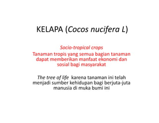 KELAPA (Cocos nucifera L)
           Socio‐tropical crops
Tanaman tropis yang semua bagian tanaman 
Tanaman tropis yang semua bagian tanaman
 dapat memberikan manfaat ekonomi dan 
          sosial bagi masyarakat

 The tree of life  karena tanaman ini telah 
menjadi sumber kehidupan bagi berjuta‐juta 
   j                    p     g     j     j
         manusia di muka bumi ini
 