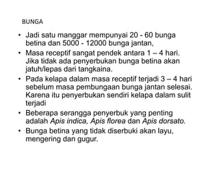 BUNGA
• Jadi satu manggar mempunyai 20 - 60 bunga
  betina dan 5000 - 12000 bunga jantan,
• Masa receptif sangat pendek antara 1 – 4 hari
                                             hari.
  Jika tidak ada penyerbukan bunga betina akan
  jatuh/lepas dari tangkaina.
• Pada kelapa dalam masa receptif terjadi 3 – 4 hari
  sebelum masa pembungaan bunga jantan selesai.
  Karena itu penyerbukan sendiri kelapa dalam sulit
  terjadi
• Beberapa serangga penyerbuk yang penting
          p        gg p y          y gp       g
  adalah Apis indica, Apis florea dan Apis dorsato.
• Bunga betina yang tidak diserbuki akan layu,
  mengering dan gugur
                   gugur.
 
