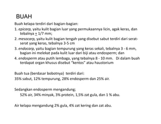 BUAH
Buah kelapa terdiri dari bagian‐bagian:
B hk l        t di i d i b i b i
1. epicarp, yaitu kulit bagian luar yang permukaannya licin, agak keras, dan 
    tebalnya + 1/7 mm;
2. mesocarp, yaitu kulit bagian tengah yang disebut sabut terdiri dari serat‐
2 mesocarp yaitu kulit bagian tengah yang disebut sabut terdiri dari serat
    serat yang keras, tebalnya 3‐5 cm
3. endocarp, yaitu bagian tempurung yang keras sekali, tebalnya 3 ‐ 6 mm, 
    bagian ini melekat pada kulit luar dari biji atau endosperm; dan
    bagian ini melekat pada kulit luar dari biji atau endosperm; dan
4. endosperm atau putih lembaga, yang tebalnya 8 ‐ 10 mm.   Di dalam buah 
    terdapat organ khusus disebut “kentos” atau haustorium

Buah tua (berdasar bobotnya)  terdiri dari: 
35% sabut, 12% tempurung, 28% endosperm dan 25% air. 

Sedangkan endosperm mengandung; 
   52% air, 34% minyak, 3% protein, 1,5% zat gula, dan 1 % abu. 

Air kelapa mengandung 2% gula, 4% zat kering dan zat abu.
 