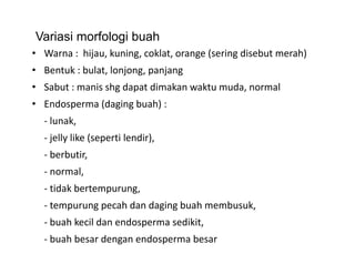 Variasi morfologi buah
• W
  Warna :  hijau, kuning, coklat, orange (sering disebut merah)
           hij k i          kl t         ( i di b t          h)
• Bentuk : bulat, lonjong, panjang
• S b t
  Sabut : manis shg dapat dimakan waktu muda, normal
             i h d t di k           kt    d        l
• Endosperma (daging buah) : 
  ‐ lunak
    lunak, 
  ‐ jelly like (seperti lendir), 
  ‐ berbutir
    berbutir, 
  ‐ normal, 
  ‐ tidak bertempurung
    tidak bertempurung, 
  ‐ tempurung pecah dan daging buah membusuk, 
  ‐ buah kecil dan endosperma sedikit
    buah kecil dan endosperma sedikit, 
  ‐ buah besar dengan endosperma besar
 