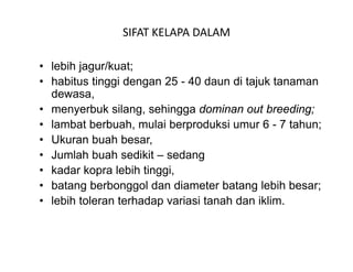 SIFAT KELAPA DALAM

• lebih jagur/kuat;
• habitus tinggi dengan 25 - 40 daun di tajuk tanaman
  dewasa,
• menyerbuk silang, sehingga dominan out breeding;
• lambat berbuah, mulai berproduksi umur 6 - 7 tahun;
• Ukuran buah besar,
• Jumlah buah sedikit – sedang
• kadar kopra lebih tinggi,
• batang berbonggol dan diameter batang lebih besar;
• lebih toleran terhadap variasi tanah dan iklim.
 