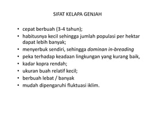 SIFAT KELAPA GENJAH

• cepat berbuah (3‐4 tahun); 
• habitusnya kecil sehingga jumlah populasi per hektar
  habitusnya kecil sehingga jumlah populasi per hektar 
  dapat lebih banyak; 
• menyerbuk sendiri, sehingga dominan in‐breading 
• peka terhadap keadaan lingkungan yang kurang baik, 
• kadar kopra rendah; 
• ukuran buah relatif kecil; 
• berbuah lebat / banyak
• mudah dipengaruhi fluktuasi iklim.
 