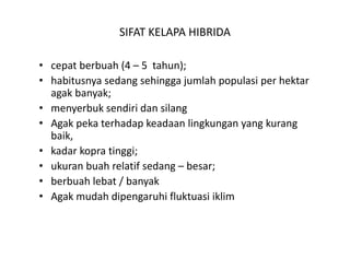SIFAT KELAPA HIBRIDA

• cepat berbuah (4 – 5  tahun); 
• habitusnya sedang sehingga jumlah populasi per hektar
  habitusnya sedang sehingga jumlah populasi per hektar 
  agak banyak; 
• menyerbuk sendiri dan silang
• Agak peka terhadap keadaan lingkungan yang kurang 
  baik, 
• kadar kopra tinggi;
  kadar kopra tinggi; 
• ukuran buah relatif sedang – besar;  
• berbuah lebat / banyak
                 /     y
• Agak mudah dipengaruhi fluktuasi iklim
 