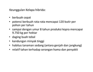Keunggulan Kelapa hibrida: 

• berbuah cepat
• potensi berbuah rata‐rata mencapai 120 butir per
  potensi berbuah rata rata mencapai 120 butir per 
  pohon per tahun 
• sampai dengan umur 8 tahun produksi kopra mencapai 
  9.750 kg per hektar 
• daging buah tebal 
• k d
  kandungan minyak tinggi 
                 i k ti i
• habitus tanaman sedang (antara genjah dan jangkung) 
• relatif tahan terhadap serangan hama dan penyakit
  relatif tahan terhadap serangan hama dan penyakit 
 