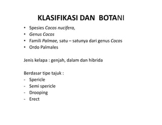 KLASIFIKASI DAN  BOTANI
•   Spesies Cocos nucifera, 
•   Genus Cocos 
•   Famili Palmae, satu – satunya dari genus Cocos
•   Ordo Palmales 

Jenis kelapa : genjah, dalam dan hibrida

Berdasar tipe tajuk :
‐ Spericle
‐ Semi spericle
  Semi spericle
‐ Drooping
‐ Erect 
 