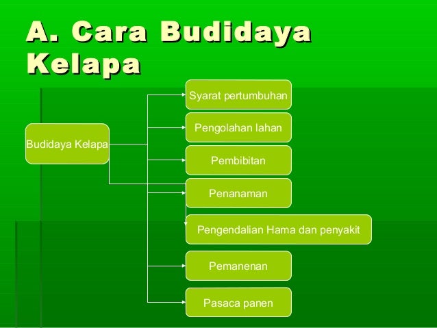 Budidaya tanaman kelapa serta pemanfaatan limbahnya