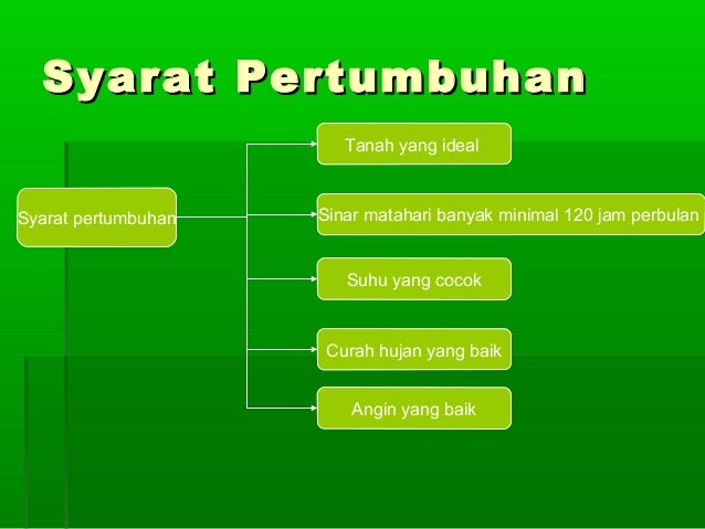 Budidaya tanaman kelapa serta pemanfaatan limbahnya