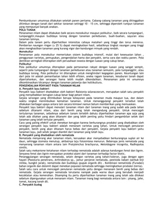 Pembumbunan umumnya dilakukan setelah panen pertama. Cabang-cabang tanaman yang ditinggalkan
ditimbun dengan tanah dari sekitar tanaman setinggi 10 – 15 cm, sehingga diperoleh rumpun tanaman
yang mempunyai banyak anakan.
POLA TANAM
Penanaman nilam dapat dilakukan baik secara monokultur maupun polikultur, baik secara tumpangsari,
tumpanggilir,maupun budidaya lorong dengan tanaman perkebunan, buah-buahan, sayuran atau
tanaman lainnya.
Dalam pola tanam perlu diperhatikan intensitas cahaya matahari yang tinggi dan terus menerus.
Pemberian naungan ringan (± 25 %) dapat meningkatkan hasil, sebaliknya tingkat naungan yang tinggi
akan menghasilkan tanaman yang kurang vigor dan kandungan minyak yang rendah.
Monokultur
Penanaman pola monokultur memerlukan sistem budidaya intensif, mulai dari kesesuaian lahan ,
penggunaan varietas, pemupukan, pengendalian hama dan penyakit, serta cara dan waktu panen. Pola
demikian seringkali diterapkan oleh perusahaan swasta dengan luasan yang cukup besar.
Polikultur
Pola polikultur umumnya diterapkan pada pertanaman rakyat dengan luasan yang sangat sempit,
seperti pola tumpangsari dengan tanaman perkebunan atau tanaman semusim, pola tumpanggilir, atau
budidaya lorong. Pola polikultur ini diterapkan untuk menghindari kegagalan panen. Keuntungan lain
dari pola ini adalah pemanfaatan lahan lebih efisien, aneka ragam tanaman, kesuburan tanah dapat
dipertahankan, dan serangan hama lebih mudah dikendalikan. Penanaman pola ini umumnya
dikombinasikan/dicampur dengan tanaman palawija dan holtikultura.
PENGENDALIAN PENYAKIT PADA TANAMAN NILAM
A. Penyakit layu bakteri
Penyakit layu bakteri disebabkan oleh bakteri Ralstonia solanacearum, merupakan salah satu penyakit
yang menyebabkan kerugian cukup besar bagi petani nilam.
Gejala serangan yang ditimbulkan berupa kelayunan pada tanaman muda maupun tua, dan dalam
waktu singkat menimbulkan kematian tanaman. Untuk menanggulangi penyakit tersebut telah
dilakukan berbagai upaya antara lain secara kimiawi namun belum memberikan yang memuaskan.
Penyakit layu bakteri dapat menulari tanaman nilam dari tanaman inang yang sudah ada pada lahan
sebelum ditanami nilam, atau dari benih yang telah mengandung penyakit. Untuk mencegah
tertularnya tanaman, sebaiknya sebelum tanam terlebih dahulu diperhatikan tanaman apa saja yang
telah ada dilahan yang akan ditanami dan yang lebih penting yaitu hindari pengambilan setek dari
tanaman yang telah tertular penyakit.
Cara yang paling efektif untuk menekan kerugian karena berkurangnya produksi yang disebabkan oleh
serangan penyakit layu bakteri adalah menanam varietas yang tahan. Untuk mencegah penularan
penyakit, benih yang akan ditanam harus bebas dari penyakit. Gejala penyakit layu bakteri yaitu
tanaman layu, jadi setek jangan diambil dari tanaman yang telah layu.
B. Penyakit yang disebabkan oleh nematoda
Nematoda menyerang akar tanaman nilam, kerusakan akar menyebabkan berkurangnya suplai air ke
daun, sehingga stomata menutup, akibatnya laju fotosintesa menurun. Beberapa jenis nematoda yang
menyerang tanaman nilam antara lain Pratylenchus brachyurus, Meloidogyne incognita, Radhopolus
similis.
Salah satu mekanisme ketahanan nilam terhadap nematoda adalah adanya kandungan fenol dan lignin.
Senyawa fenol dan lignin merupakan proteksi alami dari tanaman terhadap factor biotic.
Penanggulangan serangan nematoda, selain dengan varietas yang tahan/toleran, juga dengan agen
hayati (Pasteuria penetrans, Arthrobotrys sp., jamur penjerat nematoda, pestisida nabati (serbuk biji
nimba, bungkil jarak), nematisida dan budidaya (pupuk organik dll) . Kombinasi nematisida (Furadan)
bahan organik dan dolomit dapat menekan populasi nematoda sehingga meningkatkan produksi (terna).
Salah satu cara untuk mencegah penularan nematoda yaitu dengan menanam benih yang bebas dari
nematoda. Gejala serangan nematoda terutama nampak pada warna daun yang berubah menjadi
kecoklatan atau kemerahan. Disamping itu perlu diperhatikan tanaman inang yang telah ada dilokasi
sebelum dipergunakan untuk menanam nilam. Tanaman inang bagi nematoda antara lain : pisang, jahe,
tomat, kacang tanah dll.
C. Penyakit budog
 