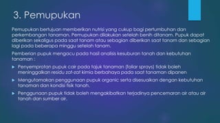 3. Pemupukan
Pemupukan bertujuan memberikan nutrisi yang cukup bagi pertumbuhan dan
perkembangan tanaman. Pemupukan dilakukan setelah benih ditanam. Pupuk dapat
diberikan sekaligus pada saat tanam atau sebagian diberikan saat tanam dan sebagian
lagi pada beberapa minggu setelah tanam.
Pemberian pupuk mengacu pada hasil analisis kesuburan tanah dan kebutuhan
tanaman :
 Penyemprotan pupuk cair pada tajuk tanaman (foliar sprays) tidak boleh
meninggalkan residu zat-zat kimia berbahaya pada saat tanaman dipanen
 Mengutamakan penggunaan pupuk organic serta disesuaikan dengan kebutuhan
tanaman dan kondisi fisik tanah.
 Penggunaan pupuk tidak boleh mengakibatkan terjadinya pencemaran air atau air
tanah dan sumber air.
 