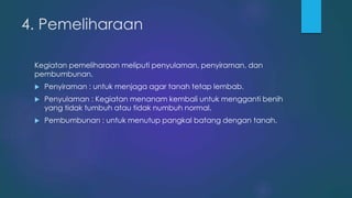 4. Pemeliharaan
Kegiatan pemeliharaan meliputi penyulaman, penyiraman, dan
pembumbunan.
 Penyiraman : untuk menjaga agar tanah tetap lembab.
 Penyulaman : Kegiatan menanam kembali untuk mengganti benih
yang tidak tumbuh atau tidak numbuh normal.
 Pembumbunan : untuk menutup pangkal batang dengan tanah.
 