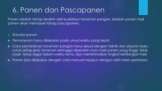 6. Panen dan Pascapanen
Panen adalah tahap terakhir dari budidaya tanaman pangan. Setelah panen hasil
panen akan memasuki tahap pascapanen.
 Standar panen
 Pemanenan harus dilakukan pada umur/waktu yang tepat.
 Cara pemanenan tanaman pangan harus sesuai dengan teknik dan anjuran baku
untuk setiap jenis tanaman sehingga diperoleh mutu hasil panen yang tinggi, tidak
rusak, tetap segar dalam waktu lama, dan meminimalkan tingkat kehilangan hasil
 Panen bisa dilakukan dengan cara manual maupun dengan alat mesin pertanian.
 