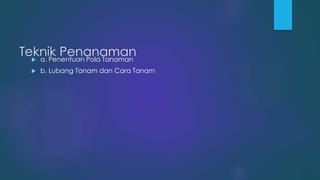 Teknik Penanaman a. Penentuan Pola Tanaman
 b. Lubang Tanam dan Cara Tanam
 