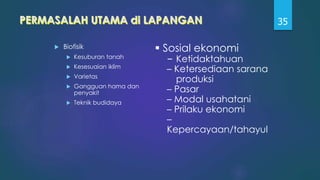 PERMASALAH UTAMA di LAPANGAN
 Biofisik
 Kesuburan tanah
 Kesesuaian iklim
 Varietas
 Gangguan hama dan
penyakit
 Teknik budidaya
35
 Sosial ekonomi
– Ketidaktahuan
– Ketersediaan sarana
produksi
– Pasar
– Modal usahatani
– Prilaku ekonomi
–
Kepercayaan/tahayul
 